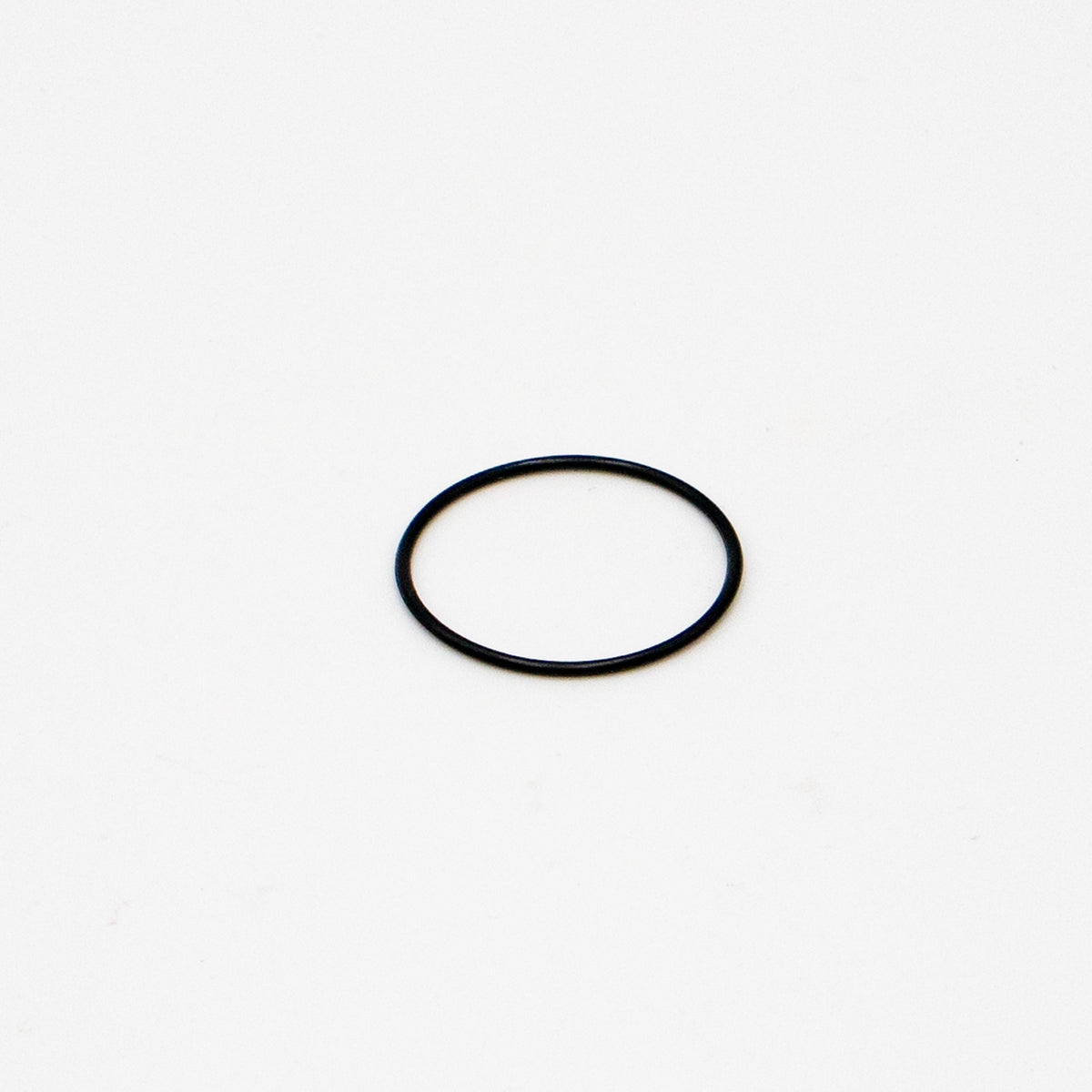 O-Ring für Light Bee & E Ride Pro SS